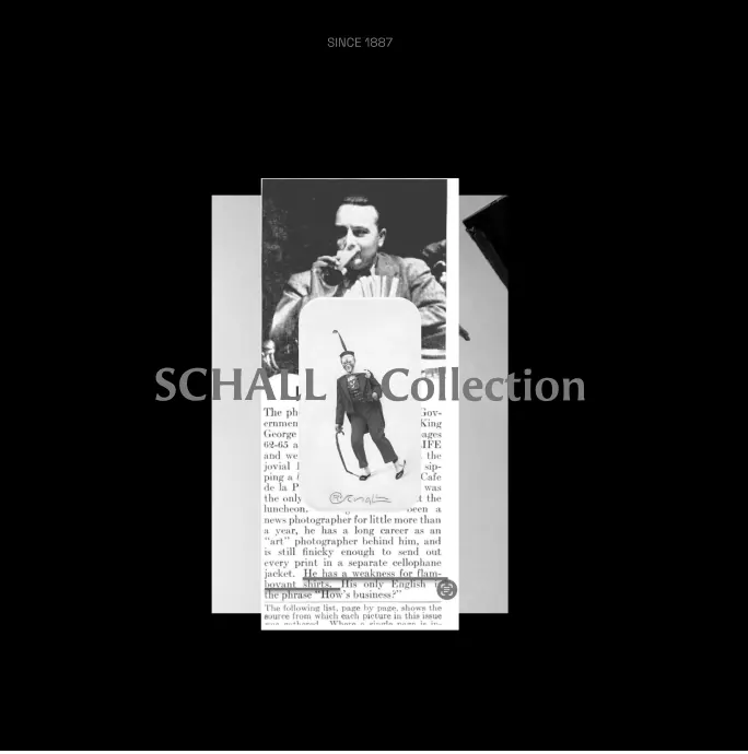 Post Instagram — Schall Collection